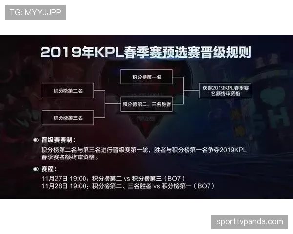 青训规则中球员年龄与比赛资格的关键判定标准详解