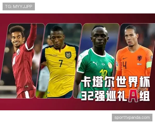 土耳其无缘世界杯32强：D组收官结果确定